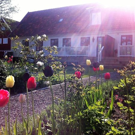 Svanebaecks Gard Vila Viken  Exterior foto